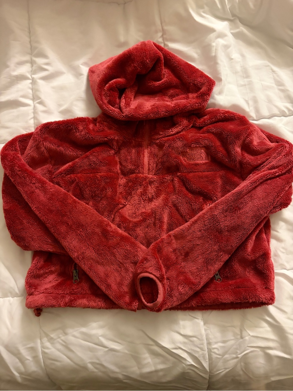 The North Face Plush Red Hooded Half-Zip Fleece